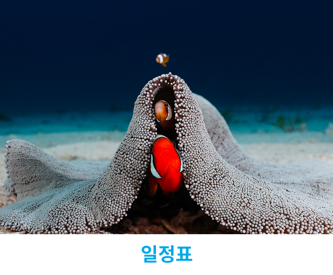 hongstar☆ページです♡ 오키나와 다이빙 홍스타다이브