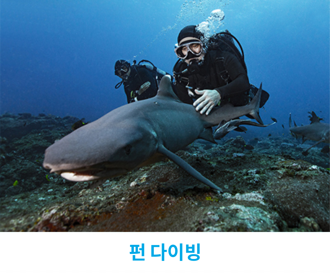 오키나와 다이빙 홍스타다이브