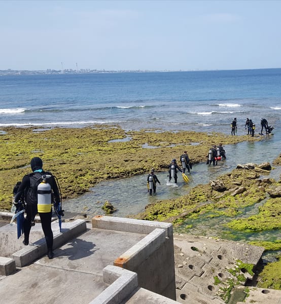 %eb%b9%84%ec%b9%98%eb%8b%a4%ec%9d%b4%eb%b9%99-%ec%83%81%ec%84%b8 %eb%b9%84%ec%b9%98%eb%8b%a4%ec%9d%b4%eb%b9%99-%ec%83%81%ec%84%b8