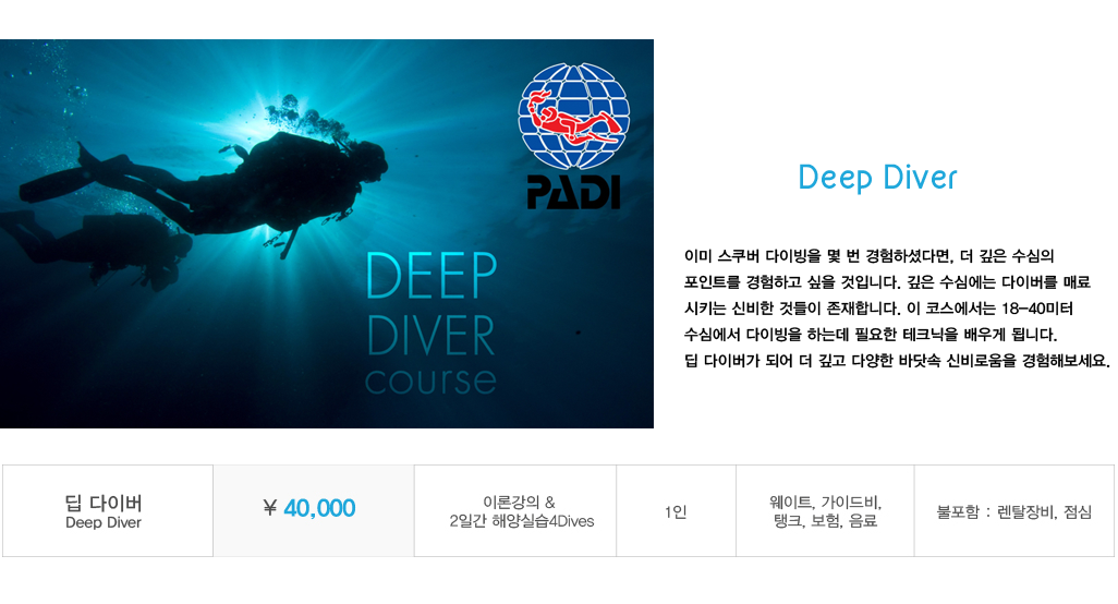 딥다이빙1